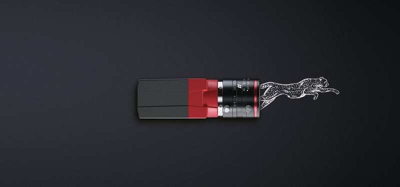 Cheetah with Alvium G5 5GigE Industrial Camera