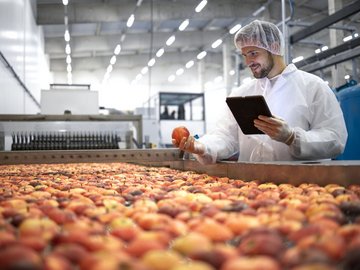 [Translate to Japanese:] Fruit sorting 