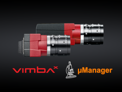 Strong team for microscopy imaging: µManager Adapter for Allied Vision cameras