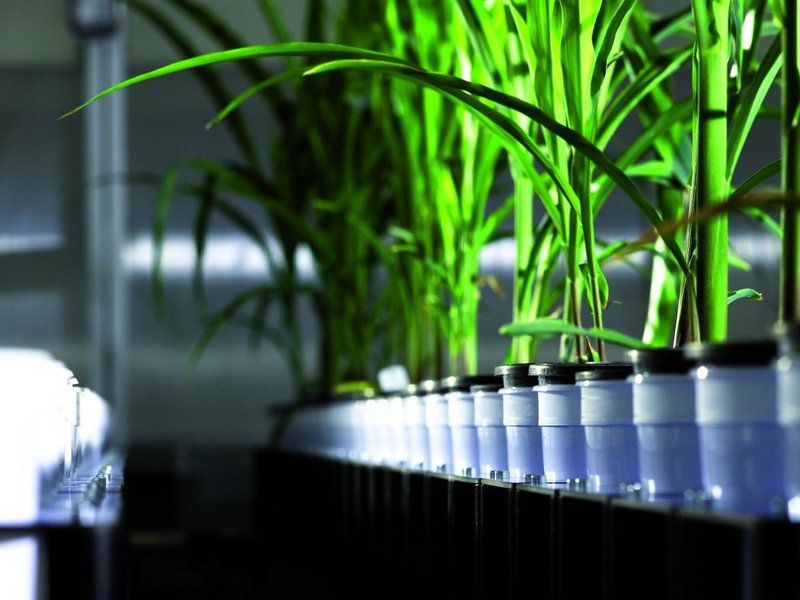 Highly automated testing system Scanalyzer3D for quantitative, nondestructive measurements on cultivated crops in greenhouses.